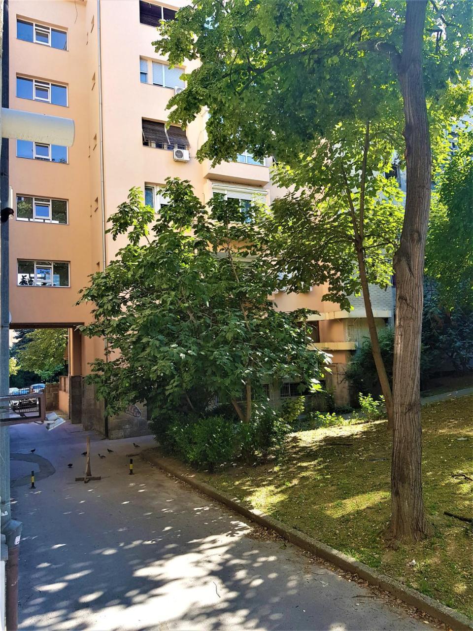 Asya Blue Apartment Bělehrad Exteriér fotografie